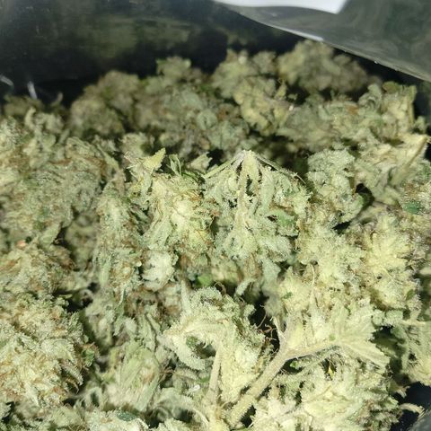Banana purple punch, Lemon Cherry cookies, Papaya cookies  growlog photo: Cookies Papaya 