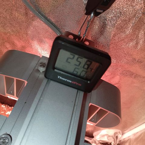 Gorilla Cookies Auto growlog timeline photo