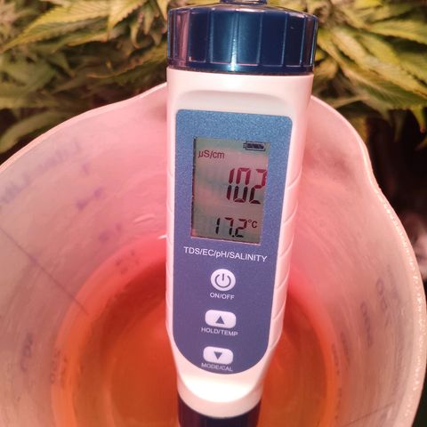 Gorilla Cookies Auto growlog timeline photo