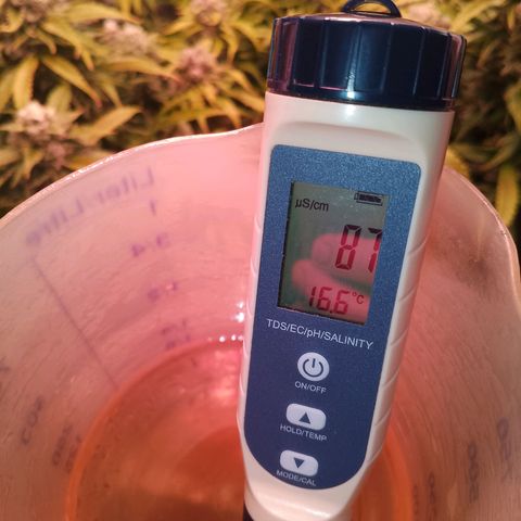 Gorilla Cookies Auto growlog timeline photo