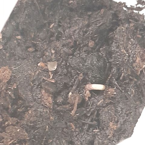 Stress Killer Automatic growlog timeline photo