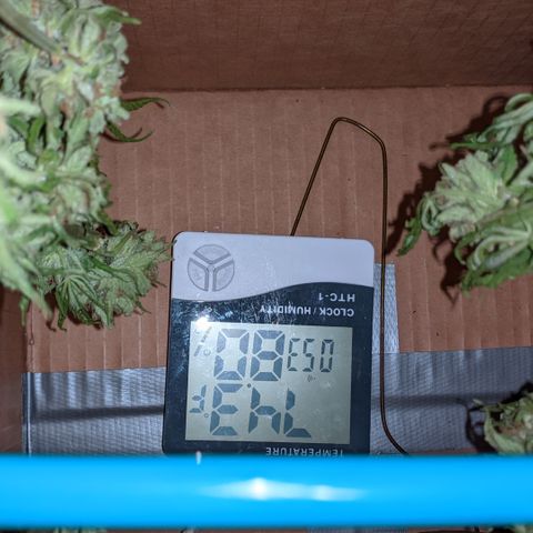 Alenuihāhā growlog timeline photo