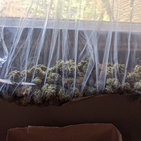 Alenuihāhā growlog timeline photo