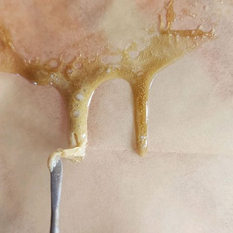 Magnum Cookies Auto growlog timeline photo