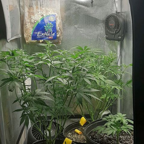 HP-00 growlog timeline photo