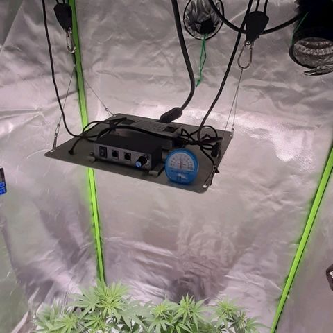 HP-00 growlog timeline photo