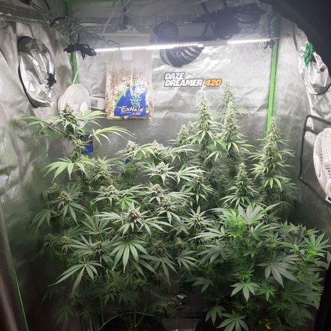 HP-00 growlog timeline photo