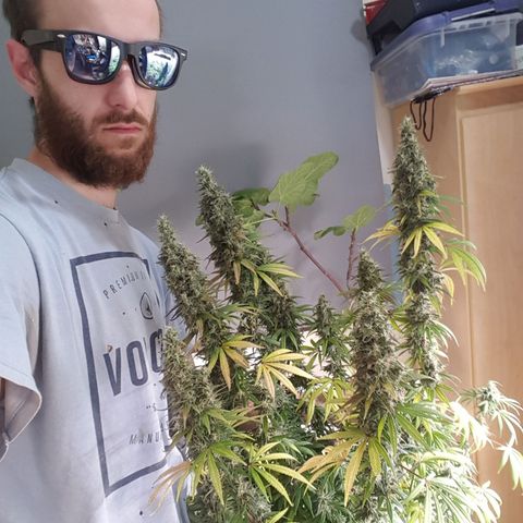 HP-00 growlog timeline photo