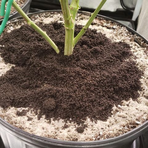 SB3.7 growlog timeline photo