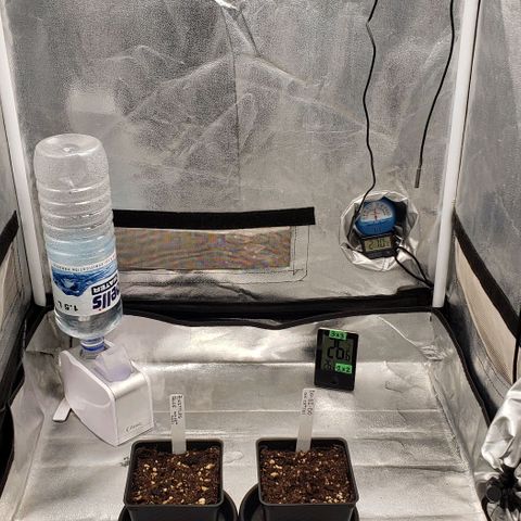 Zkittles Glue growlog timeline photo