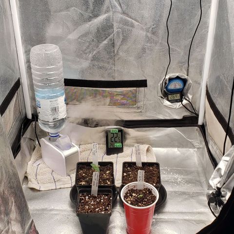 Zkittles Glue growlog timeline photo