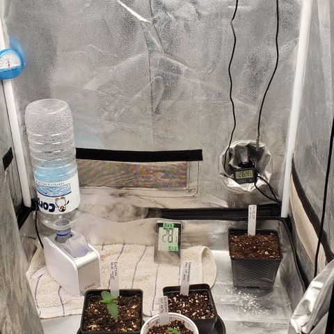 Zkittles Glue growlog timeline photo