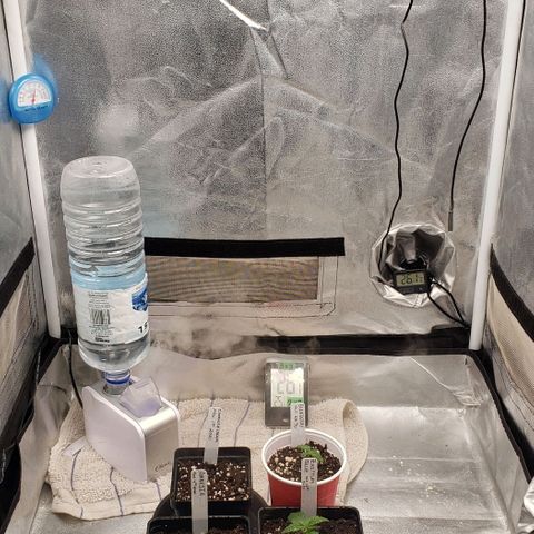 Zkittles Glue growlog timeline photo