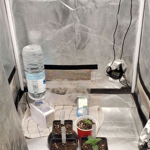 Zkittles Glue growlog timeline photo