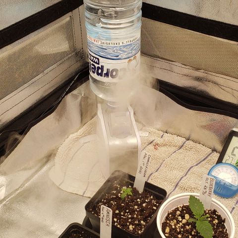 Zkittles Glue growlog timeline photo