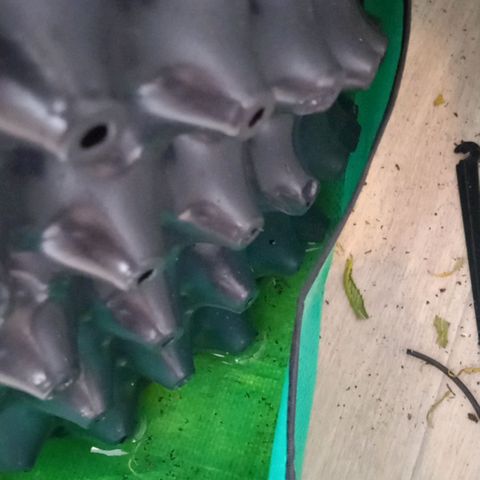 Green Gelato growlog photo: Налил случайно ещё 2 литра вместо одного