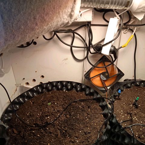 Northern lights Auto growlog timeline photo