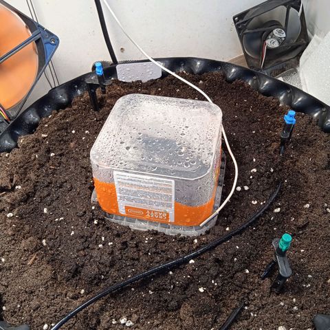 AutoXtreme growlog timeline photo