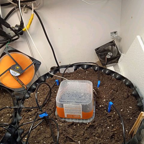 AutoXtreme growlog timeline photo