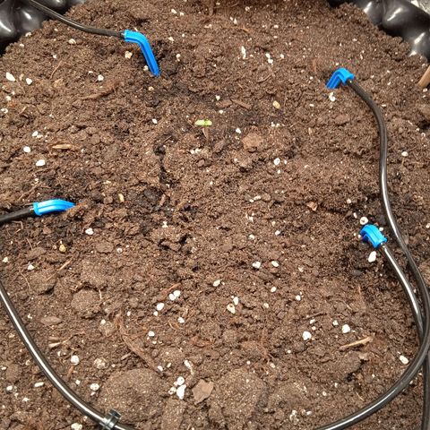 AutoXtreme growlog timeline photo