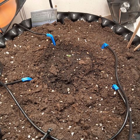 AutoXtreme growlog timeline photo