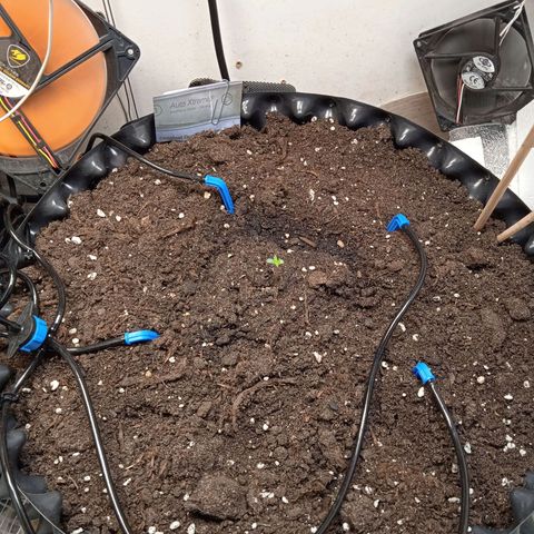AutoXtreme growlog timeline photo