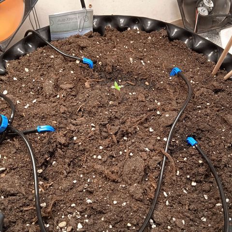 AutoXtreme growlog timeline photo