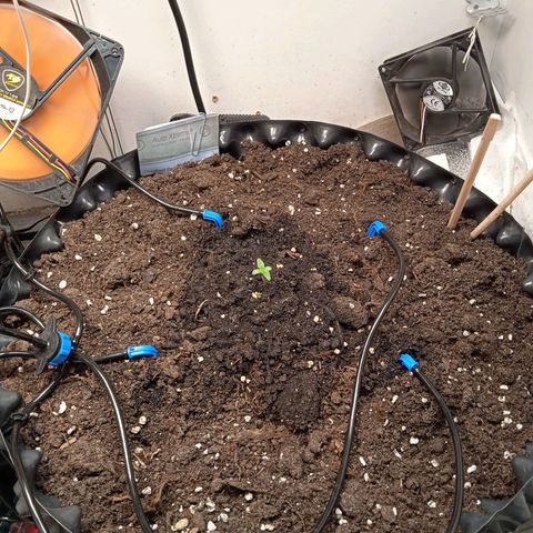 AutoXtreme growlog timeline photo