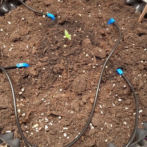 AutoXtreme growlog timeline photo