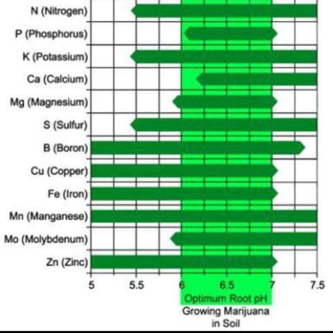 AutoXtreme growlog timeline photo