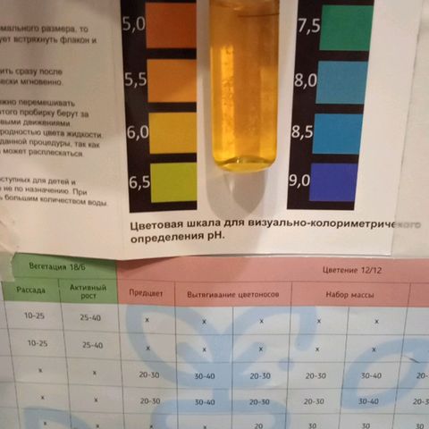 Green Gelato growlog photo: В канистре 2л раствора, добавил PH Down <=четверти куба