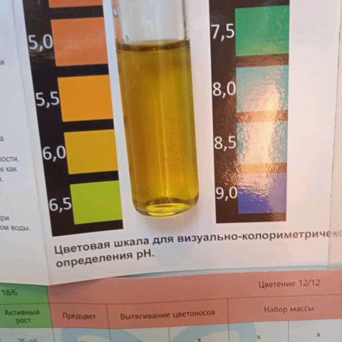 AutoXtreme growlog timeline photo