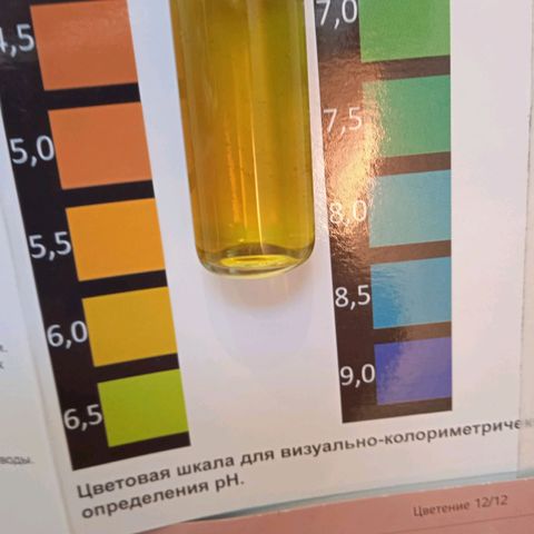 AutoXtreme growlog photo: Налил 5 литров раствора в канистру.  PH 6.2-6.4