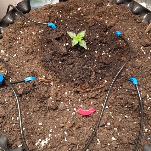 AutoXtreme growlog timeline photo