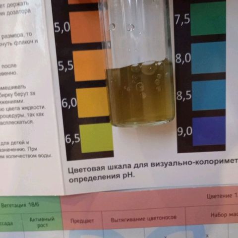 AutoXtreme growlog photo: 1 мл PH Down на 4 литра в канистре