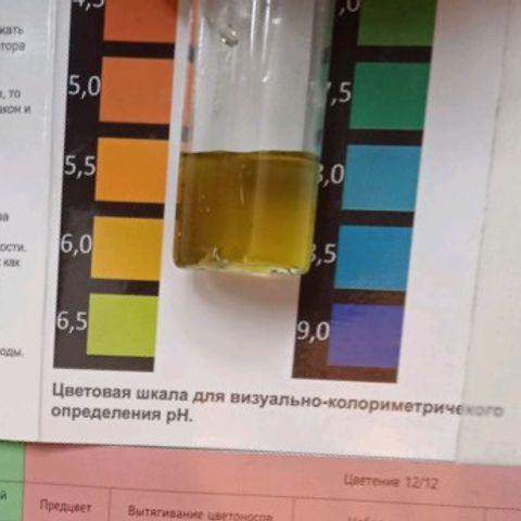 AutoXtreme growlog photo: +1мл PH Down на 4 литра в канистру