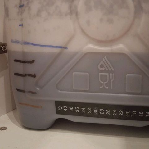 AutoXtreme growlog timeline photo