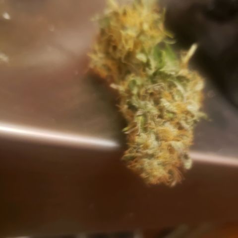 Velvet cookies growlog timeline photo