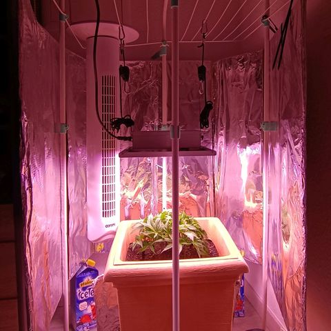 Unbekannte Sorte growlog timeline photo