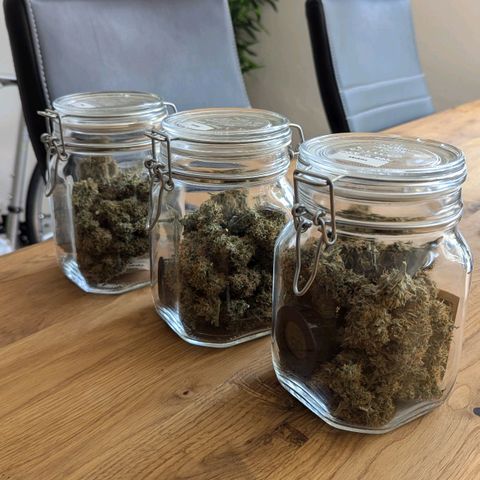 Epsilon growlog timeline photo