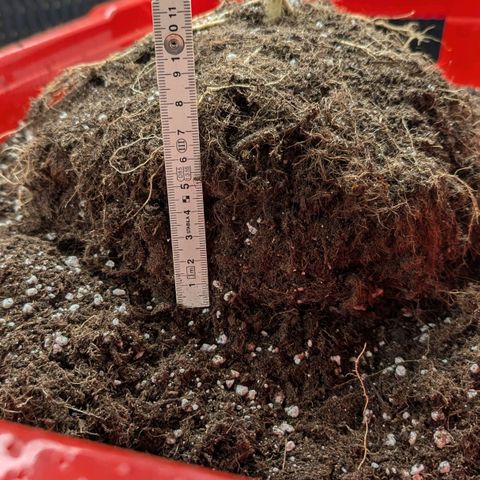 Titan growlog timeline photo