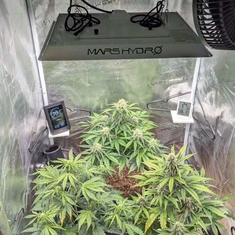 Milky Way growlog timeline photo