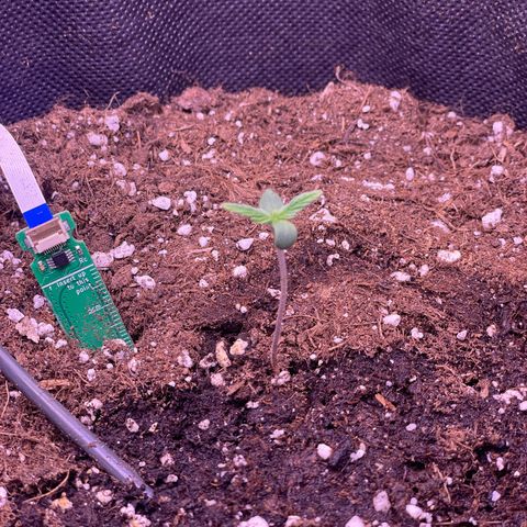 #1	 growlog timeline photo