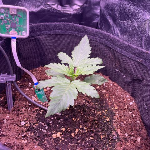 #1	 growlog timeline photo