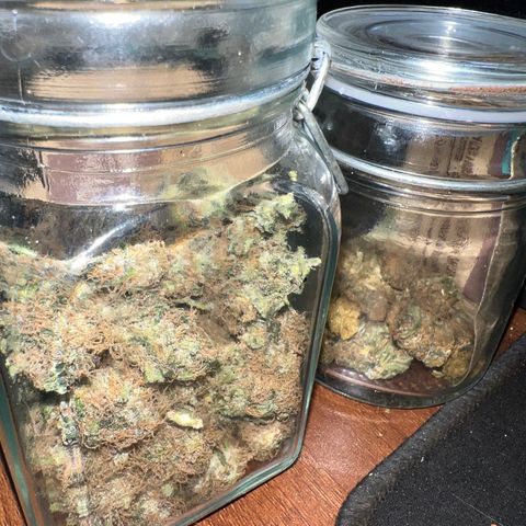 Gorilla glue(gg4) growlog timeline photo