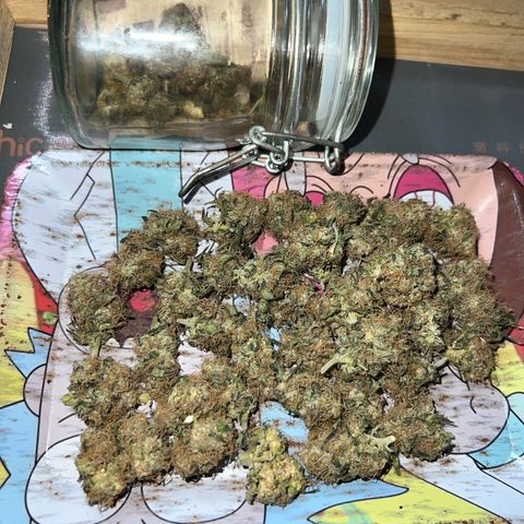 Gorilla glue(gg4) growlog timeline photo