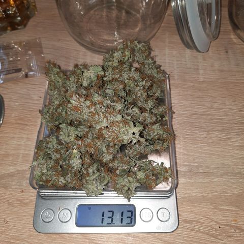 Quick One growlog timeline photo