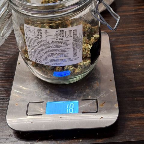 Quick One #2 growlog timeline photo