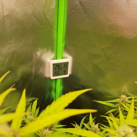Orion F1 #1 growlog timeline photo