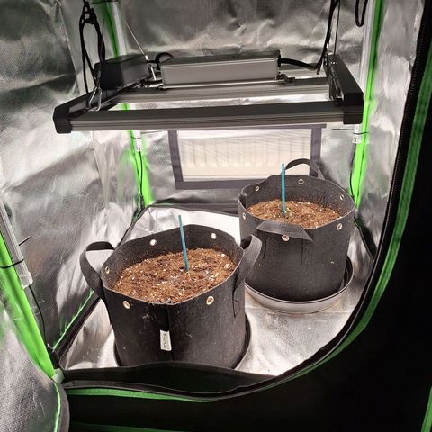 Orion F1 #2 growlog timeline photo